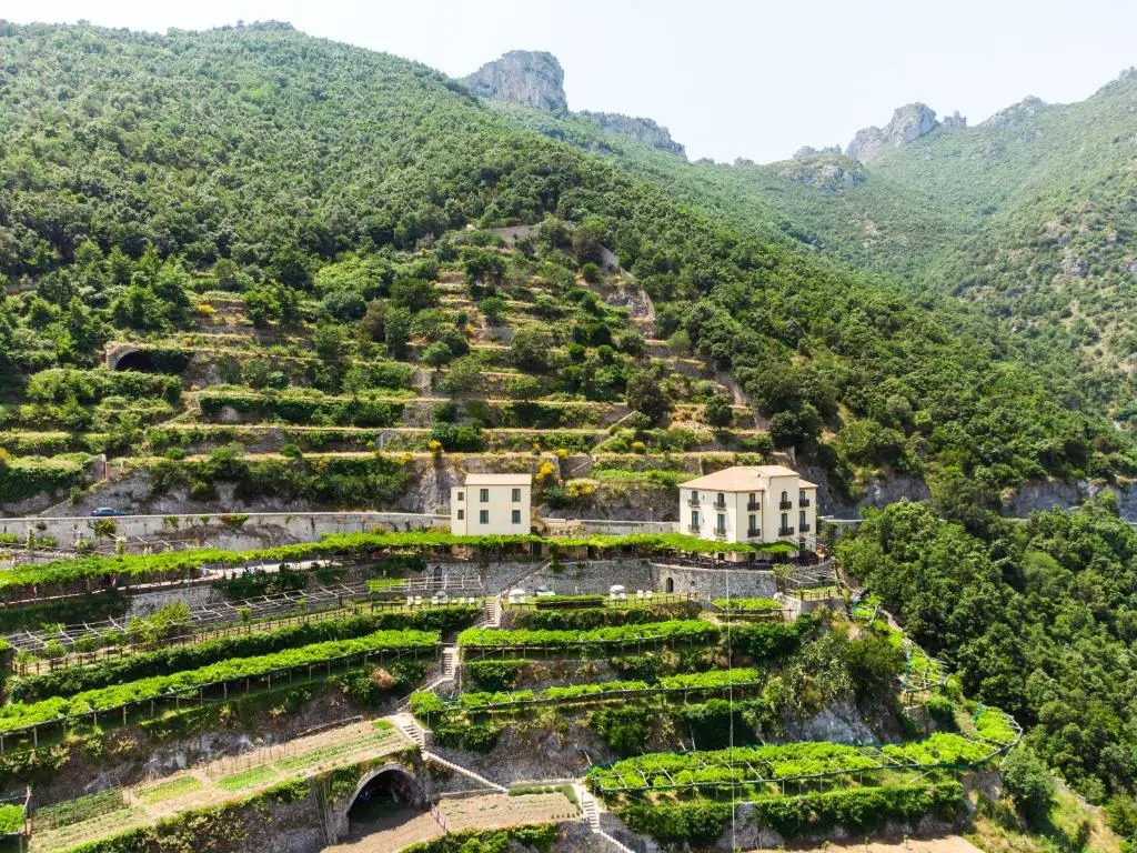 Limoneto Di Ercole