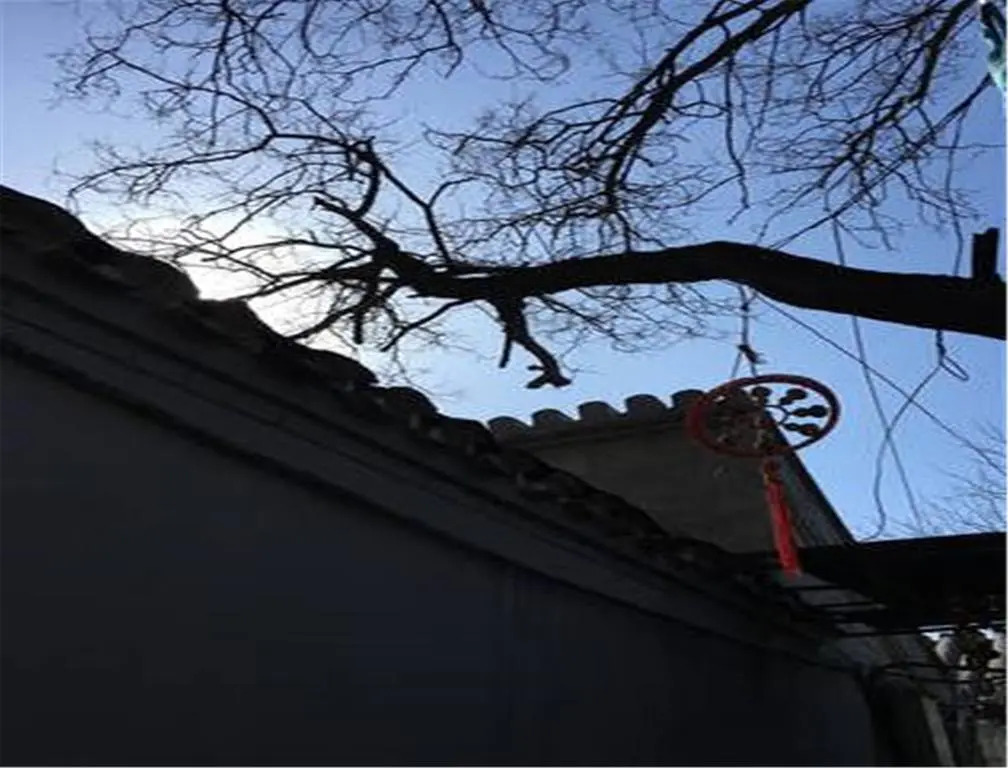 Free Builder Courtyard Hostel