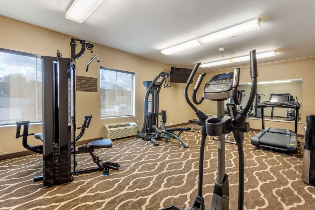 Comfort Inn Apalachin - Binghamton W Route 17