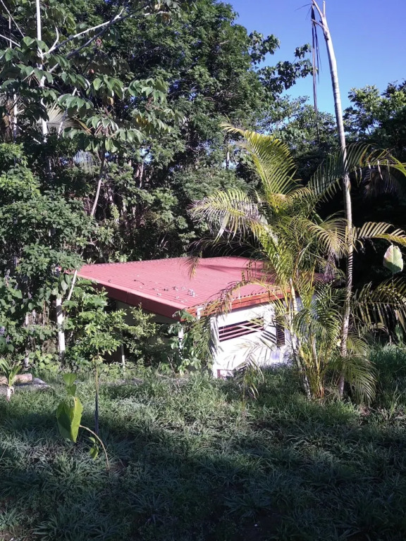 Selva Linda Lodge jungle wildlife vue and birdwatching