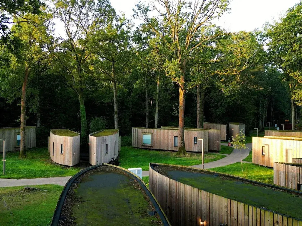 Suite in Tournai Forest Near Lille