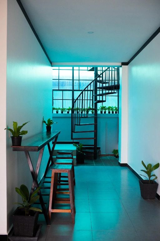 Noni Tree Hostel