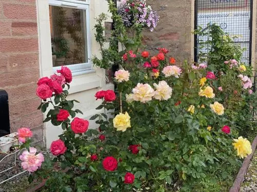 No 29 Bed and Breakfast