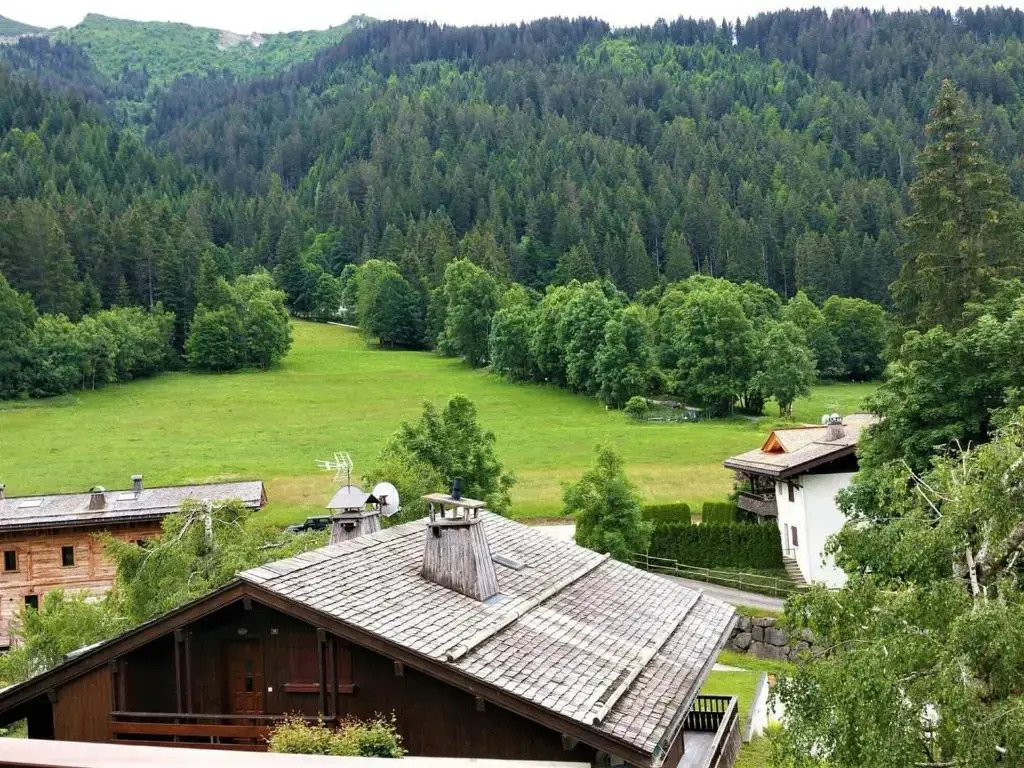 Appartement La Clusaz, 4 pièces, 7 personnes - FR-1-459-167