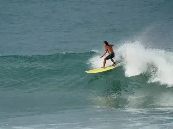 Sanya Qingfeng Xulai Feipingpan Surfing Homestay (Wuzhizhou Island Houhai Branch)