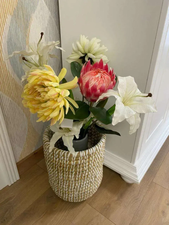 Olivia Studio