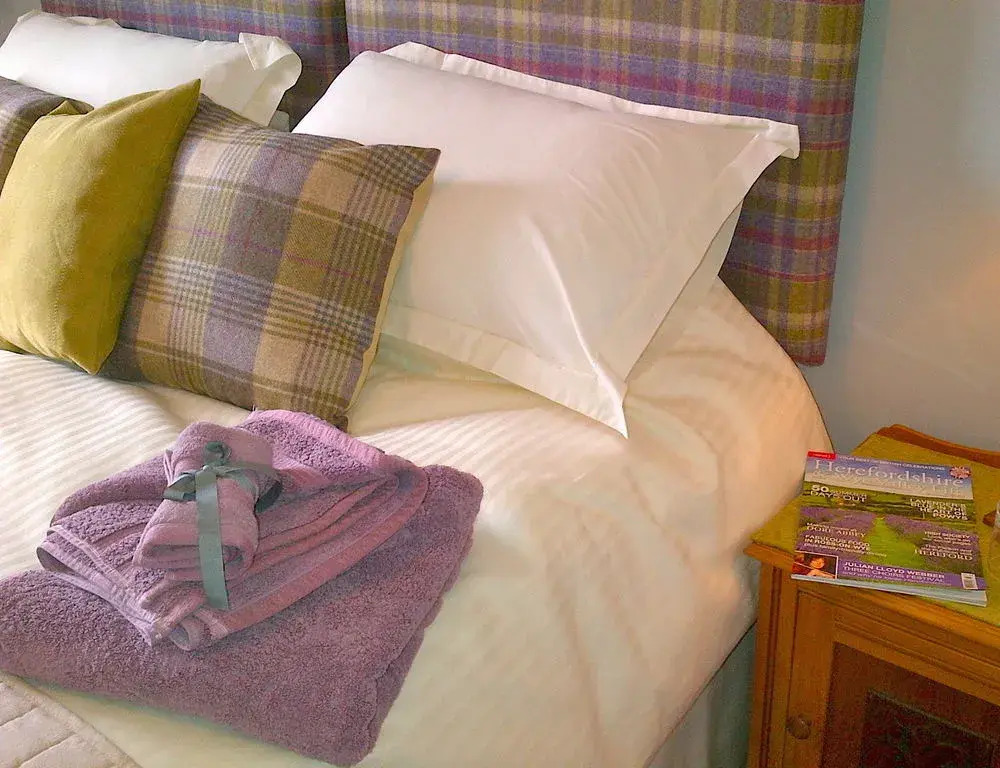 Ty Bryn Bed and Breakfast