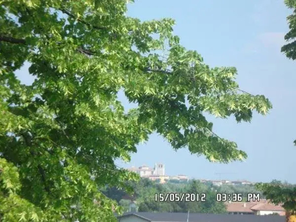 Albergo Le Piante