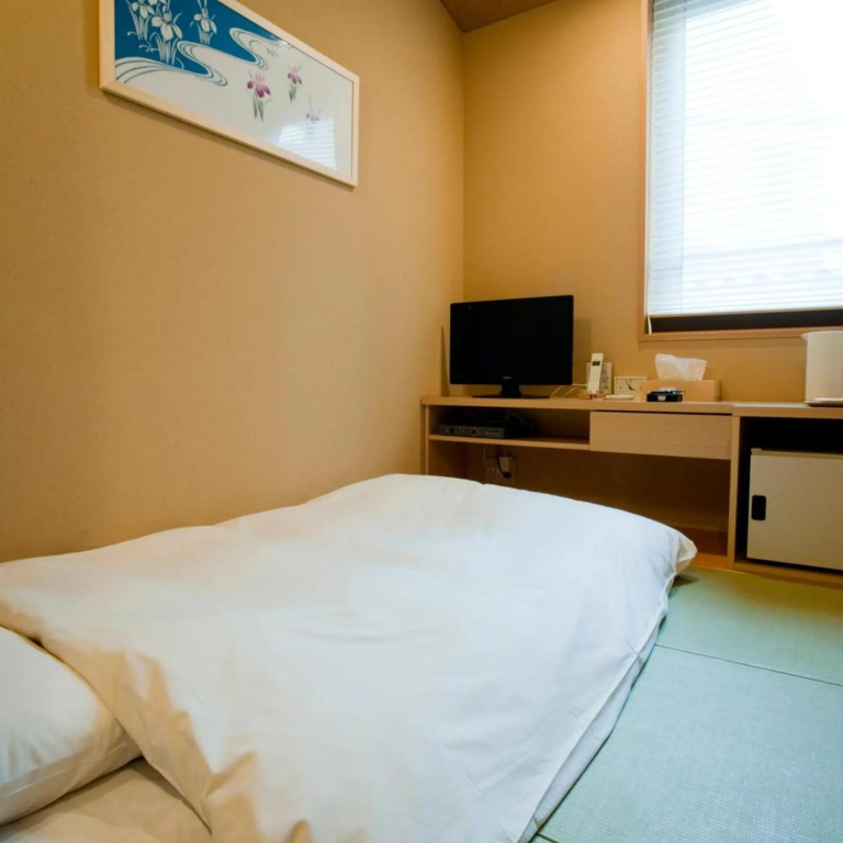 Ochanomizu Hotel Shoryukan