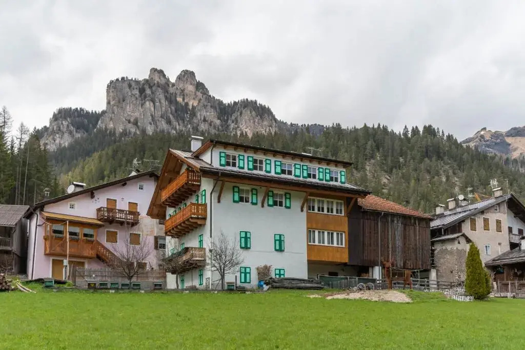 Chalet Butterfly 2