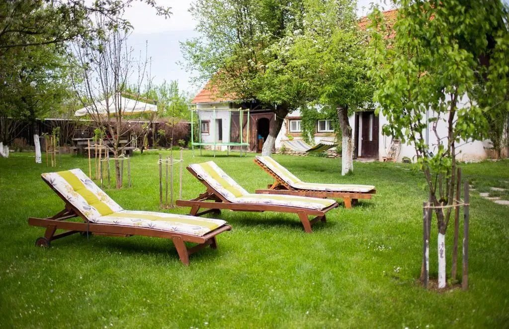 Casa Mosului - Transfăgărășan Bed & Breakfast