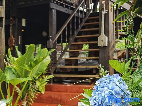 Vieng Pun Dao Resort