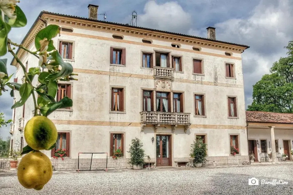 Villa Stecchini