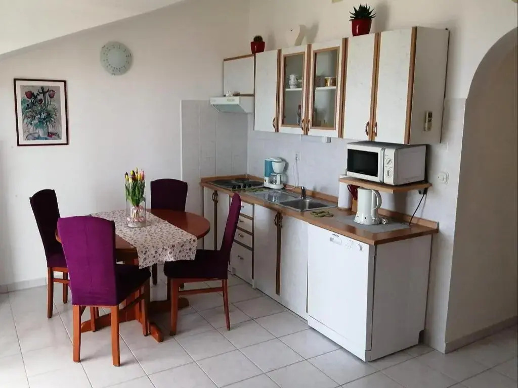 Apartments Borovina