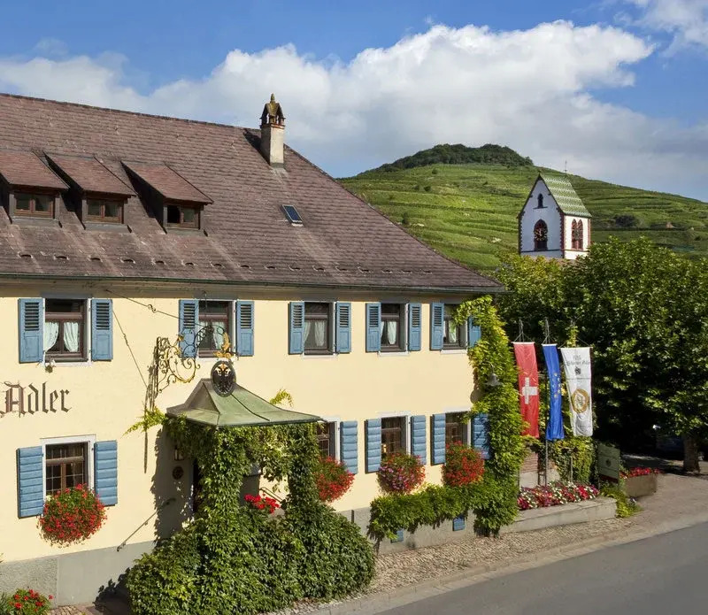 Schwarzer Adler