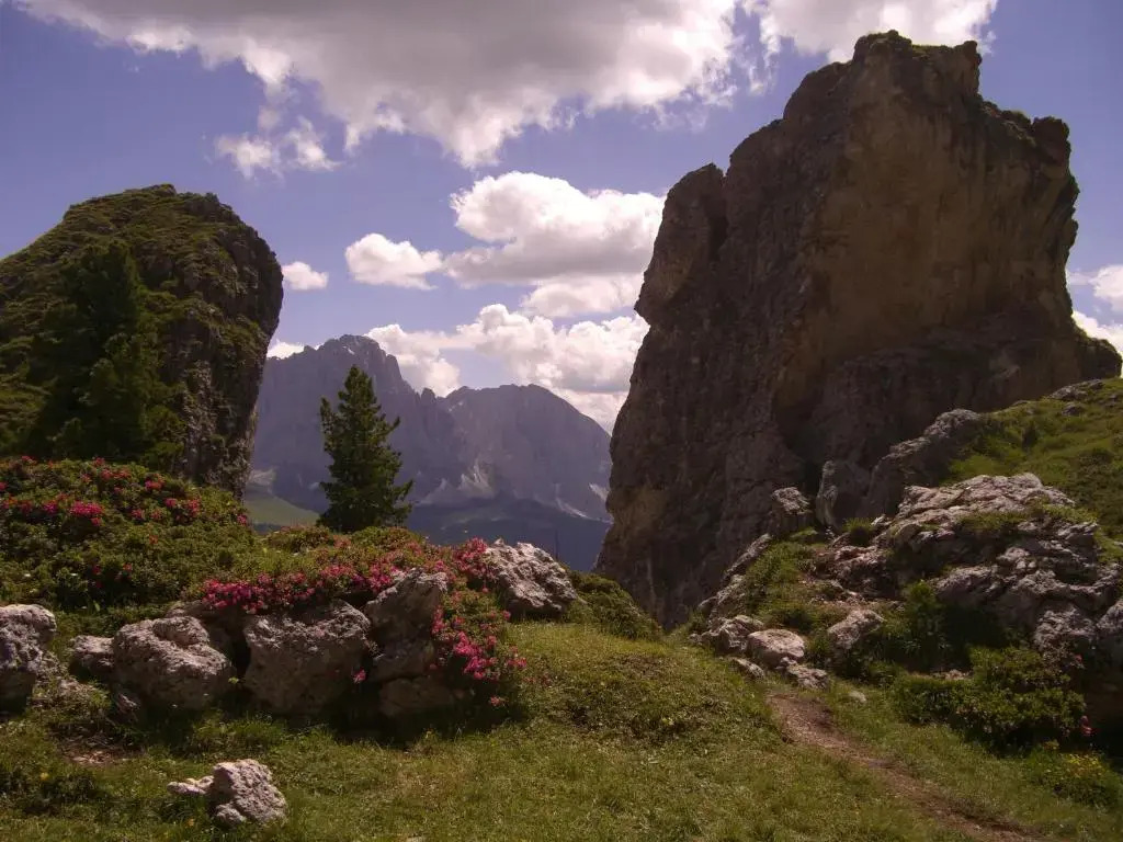 Garni Hotel Miara - Your Dolomites Home
