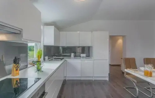 Silver Holiday House