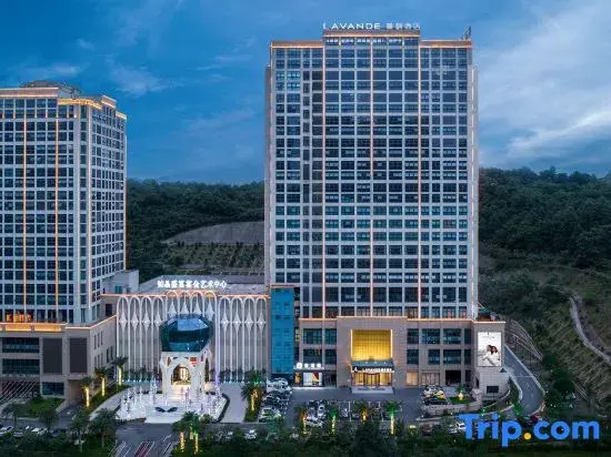 Lavande Hotel (Chenzhou Avenue Huijin Shidai)