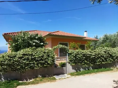 View House