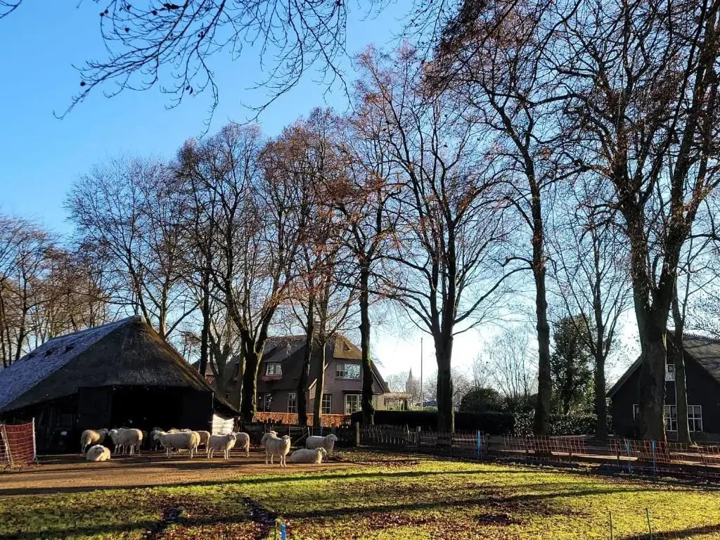 Villa Teun