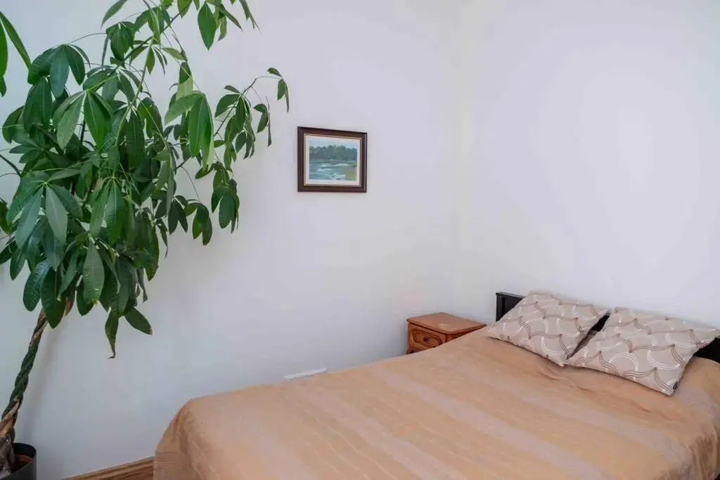 Charming apartment in the city center