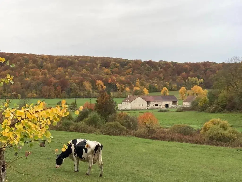 Gîte 6 pers de la Vallée de l'Aujon
