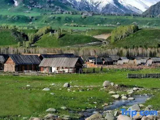 Moya Villa