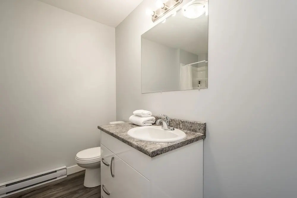 Spacious DAL & Downtown Apartments