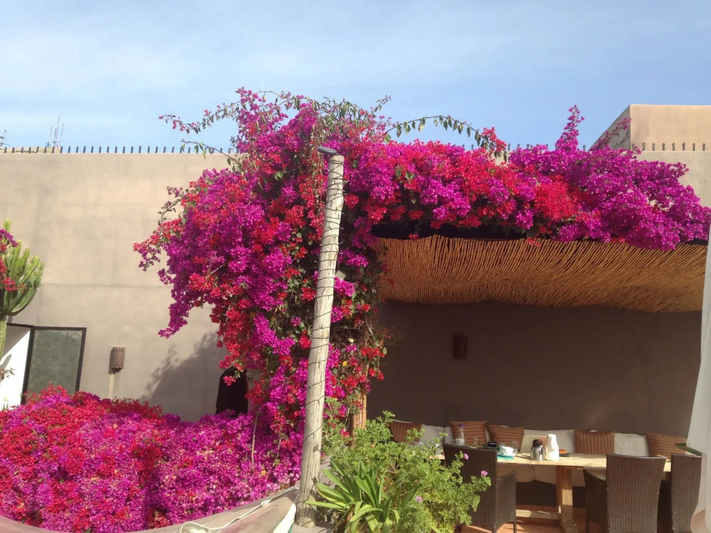 Riad Timila