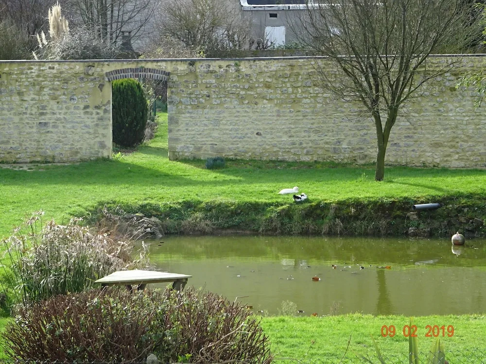 La ferme aux chats