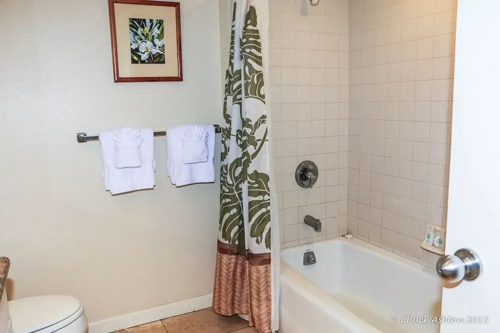 Islander on the Beach 259 - studio Br Condo