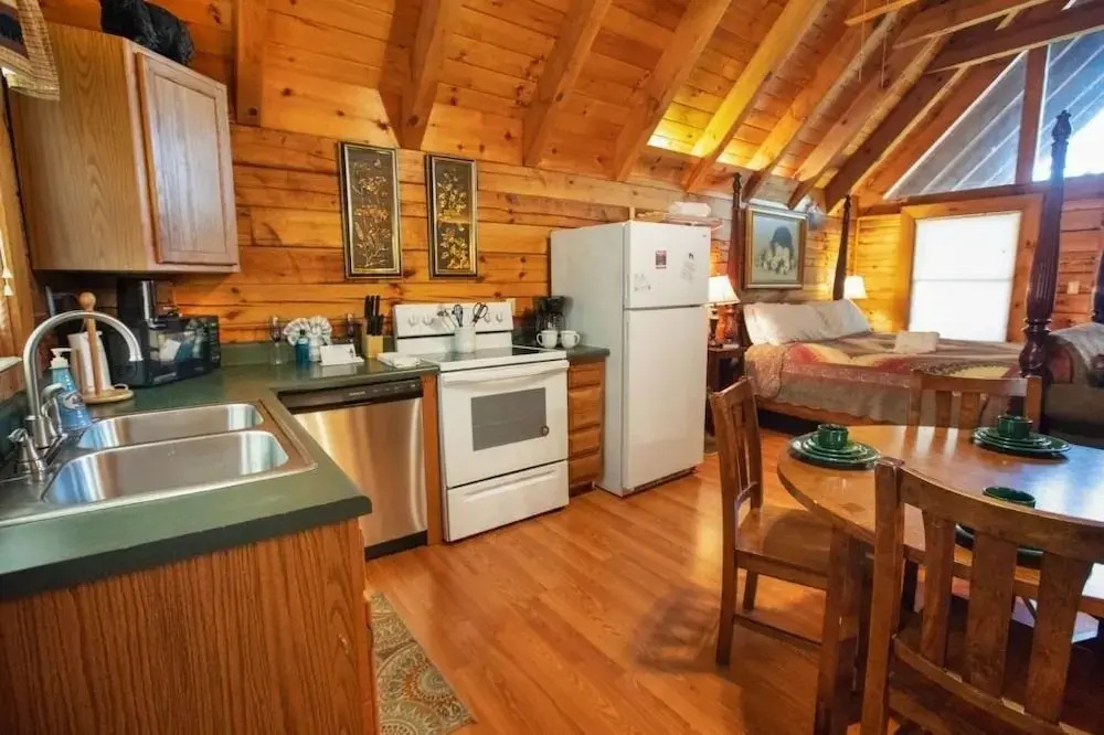 08 A Smoky Mountain Dream - 1 Br Cabin