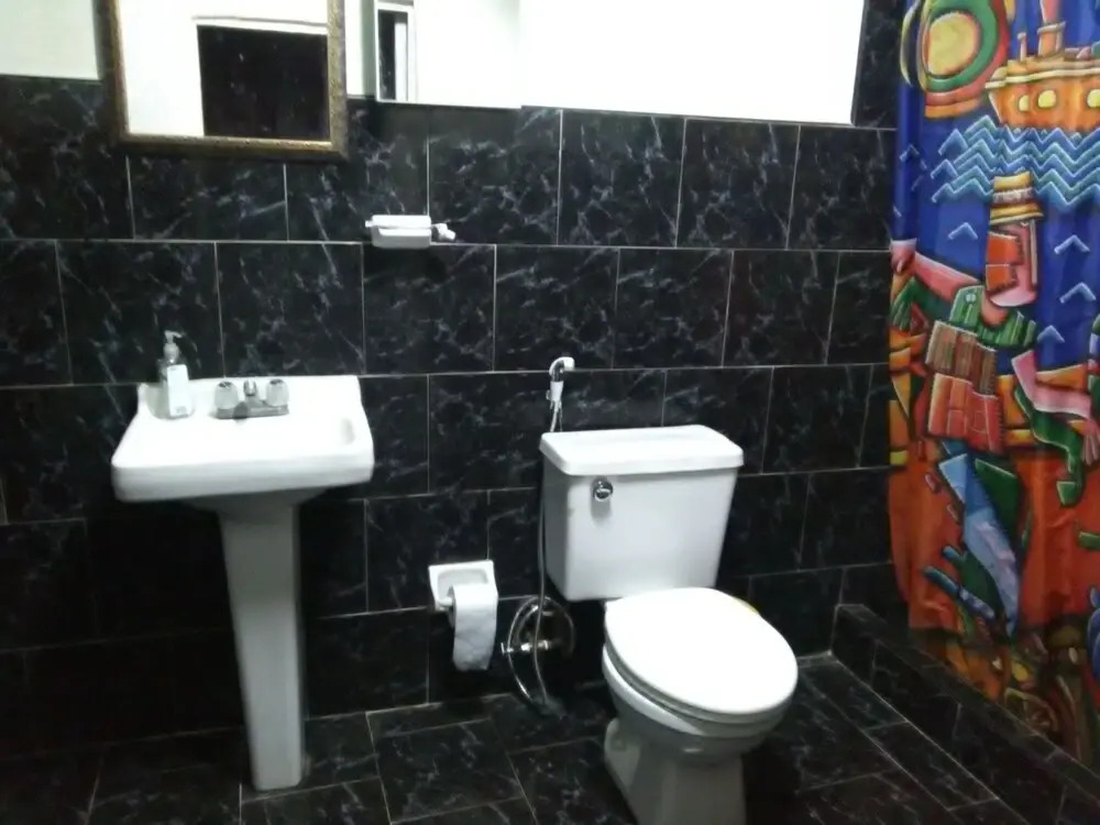 Lealtad 407 Yani