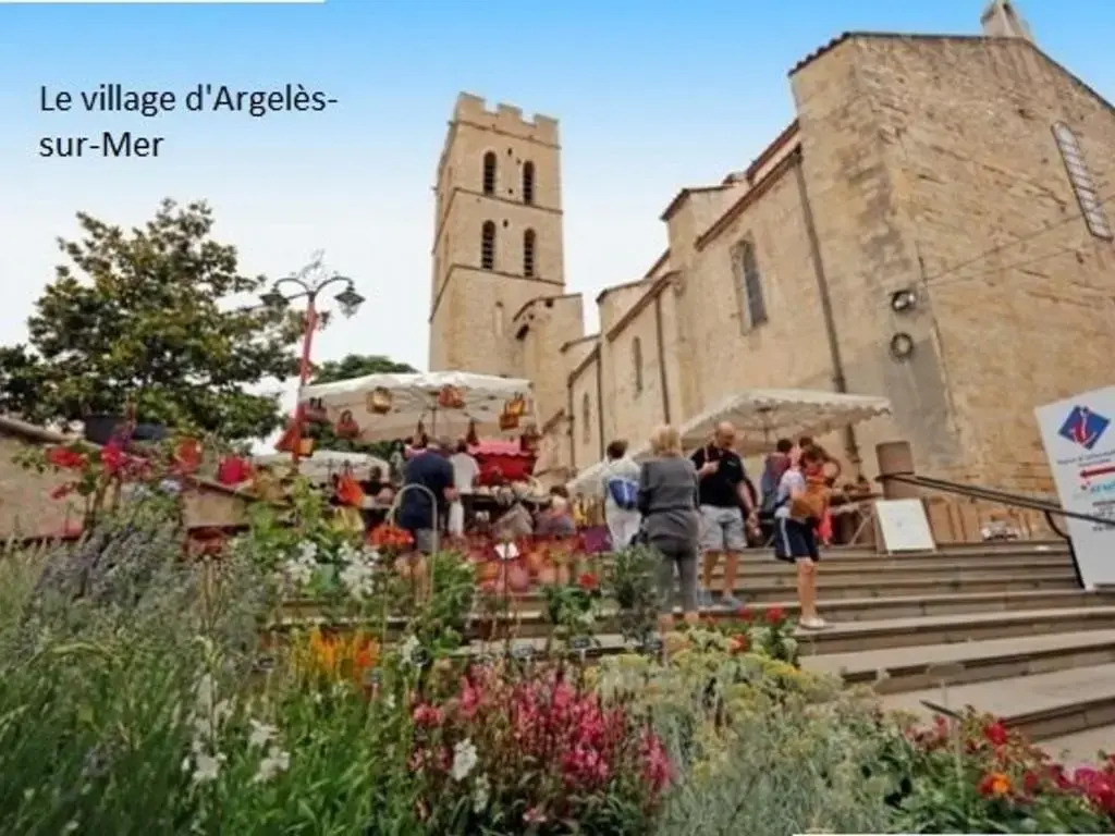 Appartement Argelès-sur-Mer, 1 pièce, 4 personnes - FR-1-225-445