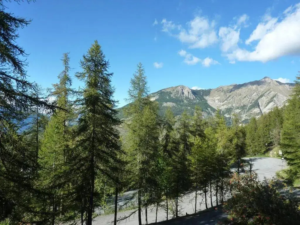 Appartement cosy, skis aux pieds, proche centre station, balcon sud, 6 pers. - FR-1-322-197