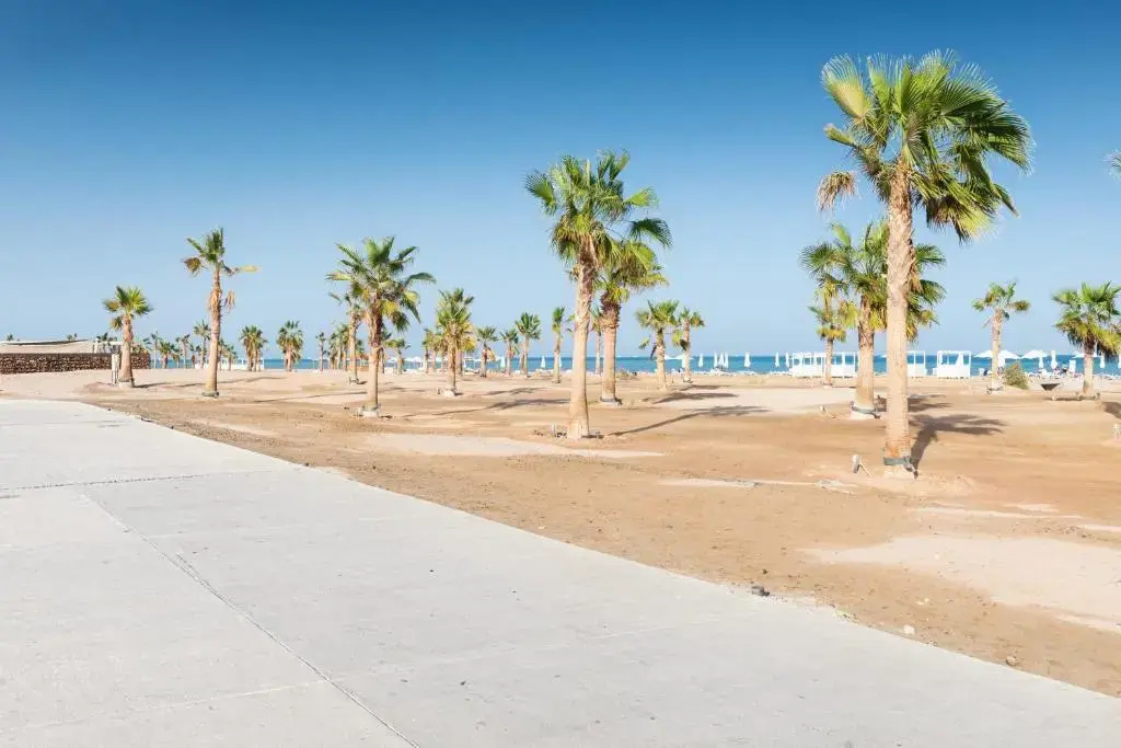 Jazzy 1BDR w Outdoor Pool View Terrace Free Pool & Beach Access