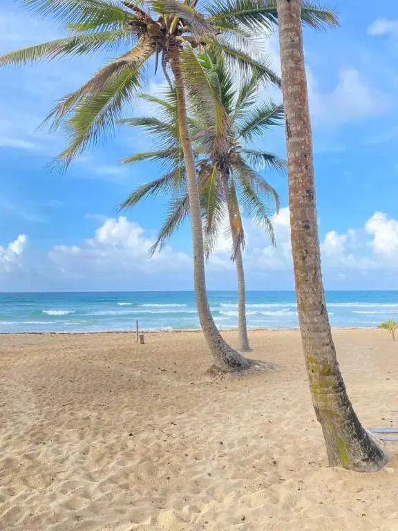 Uvero Tropical Beach Rental #2