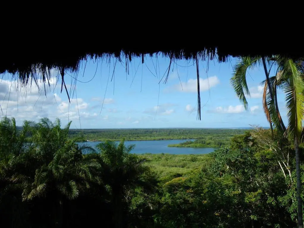 Eco Rainforest House