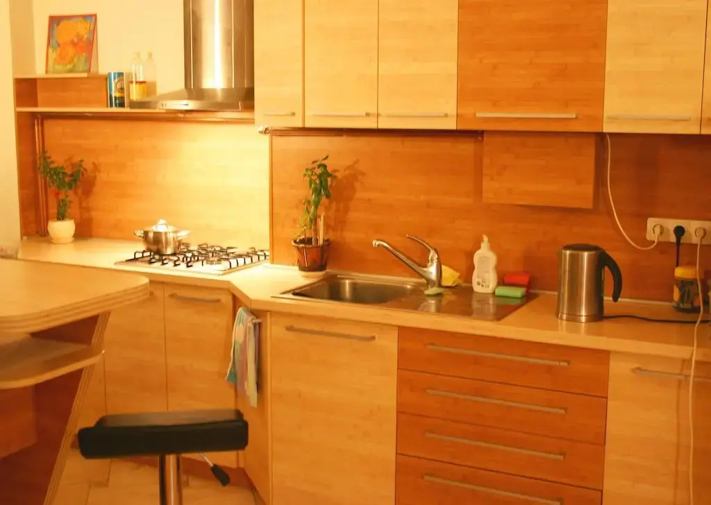 Apartment on Brivibas Street