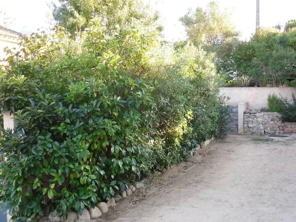 House With one Bedroom in Porto-vecchio, With Enclosed Garden and Wifi