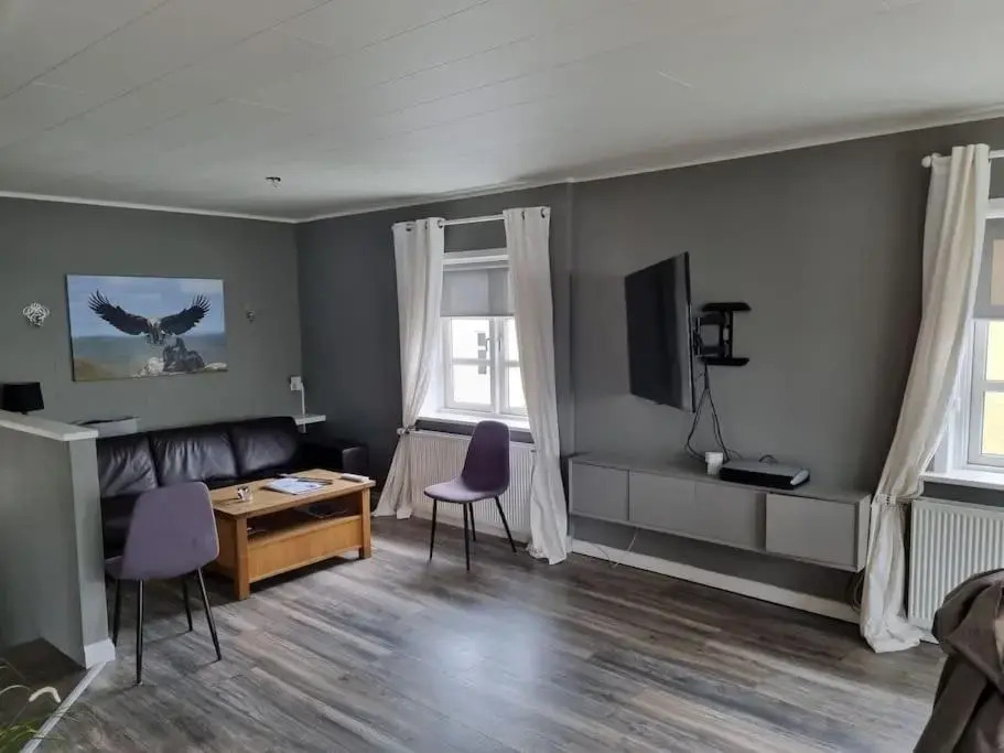 Fully furbished 2bedroom luxury apt in city center
