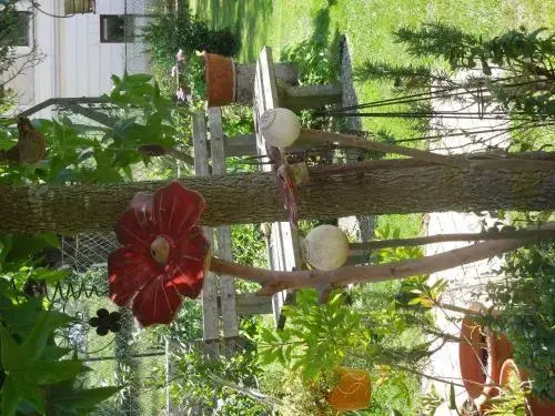 Frühstückspension Kammerer "Zum Grünen Baum"