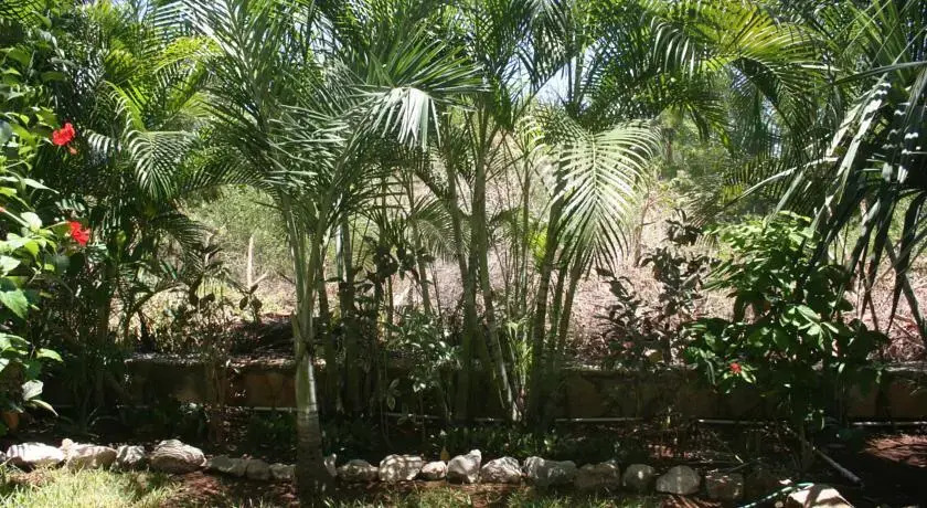 Casa Andalucía
