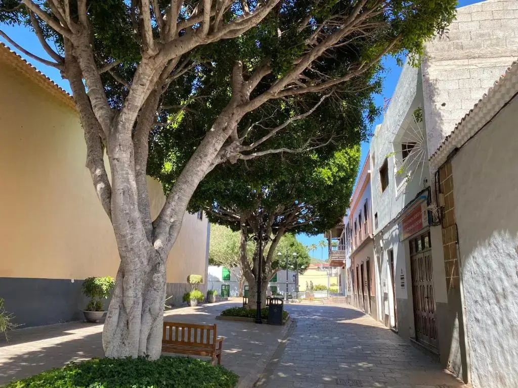Apartamento en Arona pueblo para 4 personas