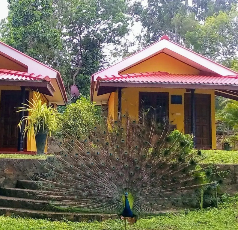 Amazon Cabanas