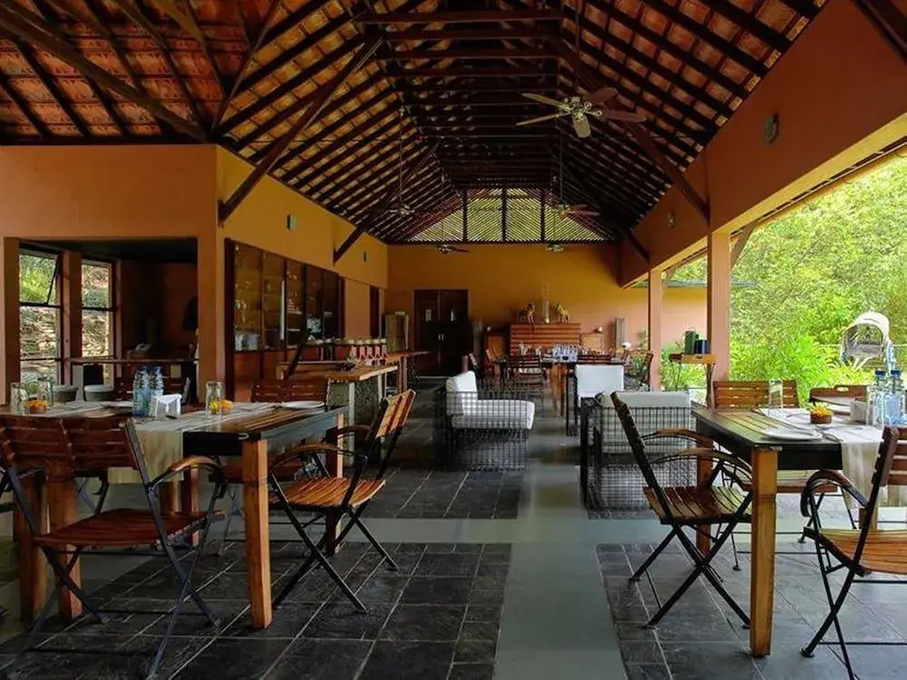Rainforest Resort