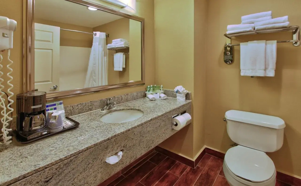 Best Western Premier Houston Downtown/Convention Center Hotel