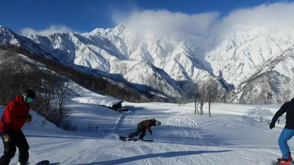 Little Alaskan Guest House