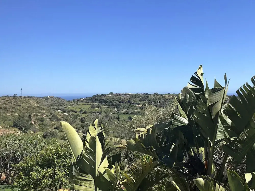 Lo spazio di Mima