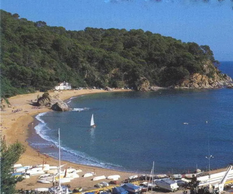 Roulette Lloret de Mar VTV